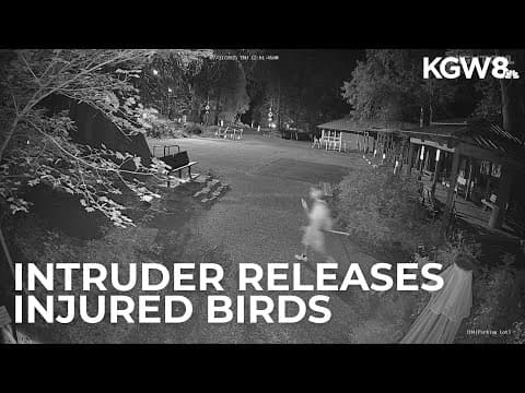 Suspect breaks into Bird Alliance of Oregon's outdoor enclosures