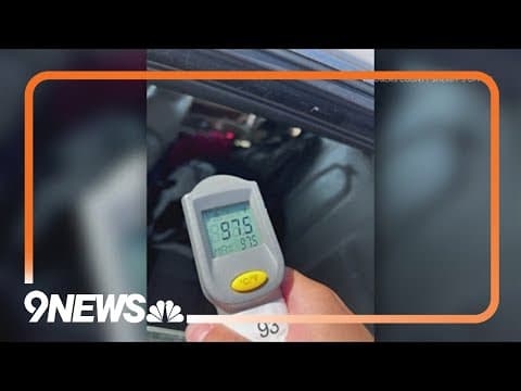 The dangers of leaving dogs in hot cars