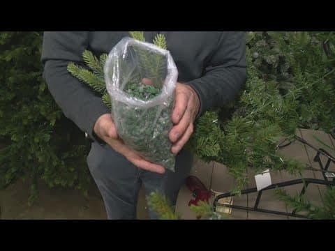 Pat Sullivan's tips for artificial Christmas trees