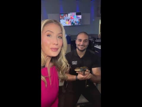 ZooTampa joins 10 Tampa Bay News to discuss 2025 holiday events