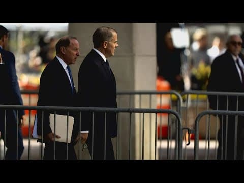 Hunter Biden's attorney's argue that his 2nd amendment rights are being violated