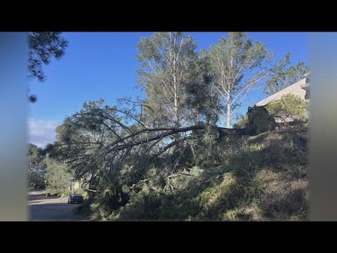 Del Mar non-profit to host clean-up, planting day to recover from recent storms