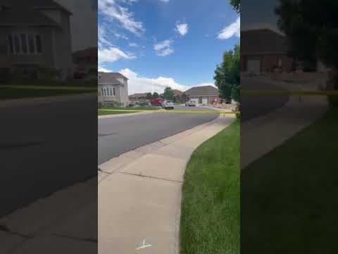 Man killed by police after double murder in Adams County