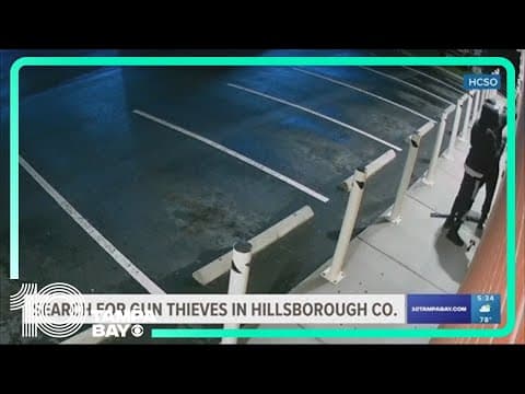 2 men caught on video stealing large guns in Tampa