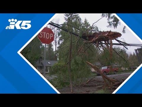 Winds in western Washington topple power lines, trees