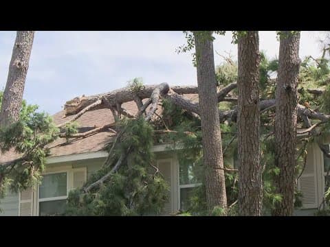 Strong storms leave behind damage in the Houston area