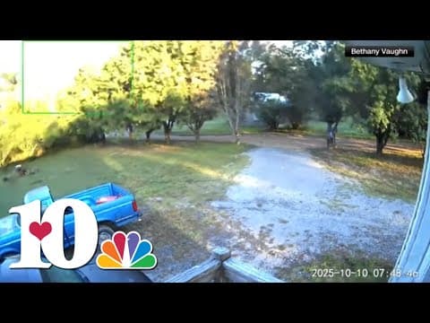 Tennessee plant explosion | Home security camera shakes from blast | VIDEO