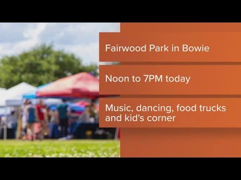 Here are some cool events you cannot miss in the DMV today!