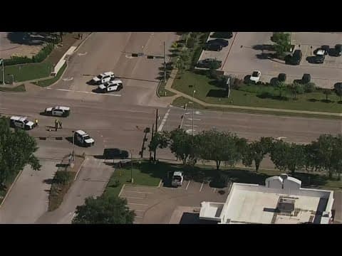 2 juvenile pedestrians hospitalized after crash with vehicle in Plano, police say