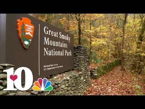 Several states are working to keep their National Parks open during the government shutdown