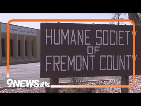 Colorado man accused of poisoning 6 puppies