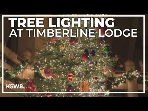 Timberline Lodge tree lights up for the holidays