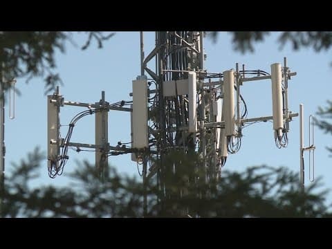 Bay Ho residents push back against proposed cell phone tower disguised as tree