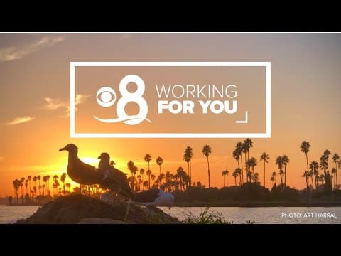 Working For You | Stories for the San Diego community (Sept 20)