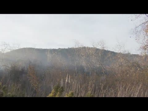 Crews quickly battle brush fire in Clairemont near SR-52 and Genesee Ave.