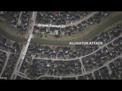 Houston police investigating possible gator attack after woman found dead near her home