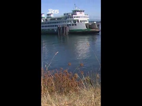 Leashed dogs now allowed on all Washington ferries