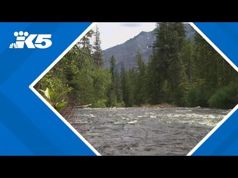 Experts mull Decker's possible escape path