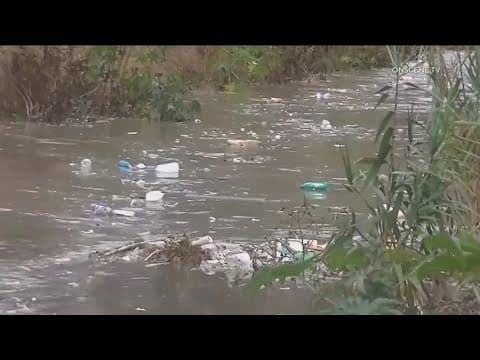 San Diego City Council could join calls for action on Tijuana sewage crisis
