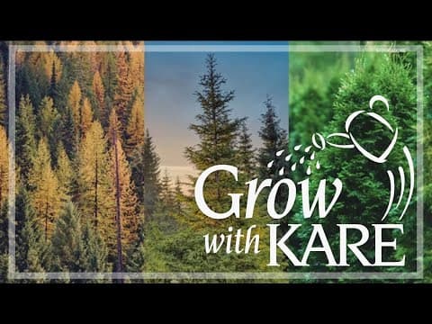 Grow with KARE: Wrong tree, wrong place