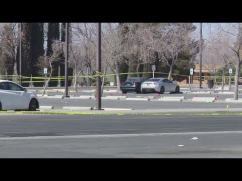 Three killed, 15 injured in a shooting at a park in New Mexico