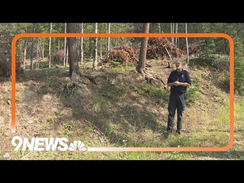 Burn piles in Evergreen are planned