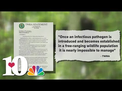 TWRA reevaluating relationship with ABR after euthanizing bear cubs