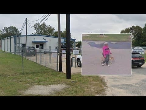 Dog tied to dumpster found dead in front of City of Humble Animal Shelter