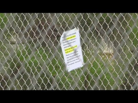 Pacific Beach joint-use park temporarily closed to public due to damage by off-leash dogs