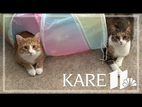 Your Good News: Cathy & Jeff Johnson, Liz & Kate Short, Don & Susan Doty