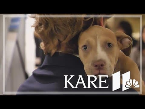 Puppy Day at State Capitol