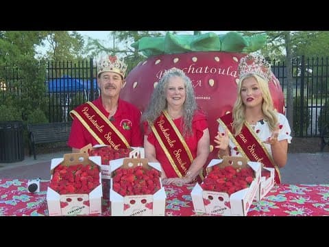 Strawberry Fest returns in Ponchatoula, Louisiana