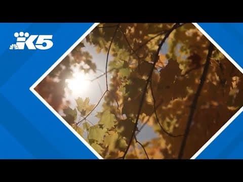 Fall leaves peaking earlier