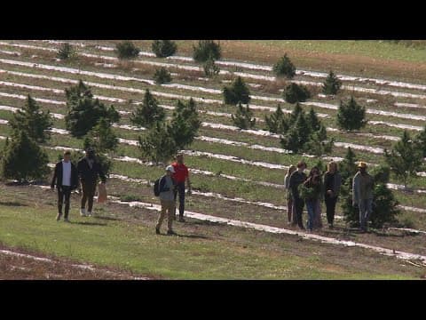 Macalester College students tour NorthStar Hemp cannabis farm