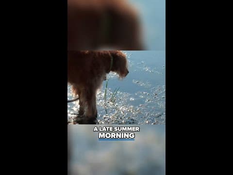 Veterans find solace in fishing with Project Healing Waters