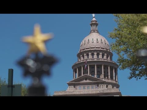 The War on DEI: An in-depth look at the Texas DEI law's impact on college campuses
