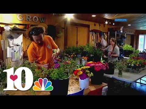 Growing the most beautiful flowers