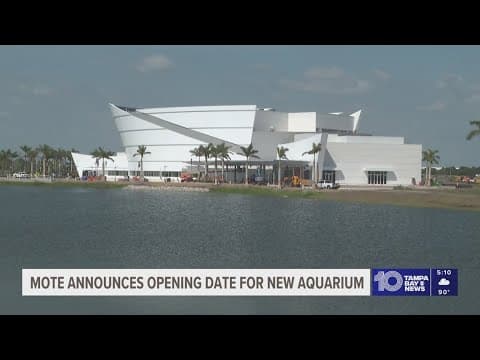Mote Marine Laboratory announces opening date for new aquarium