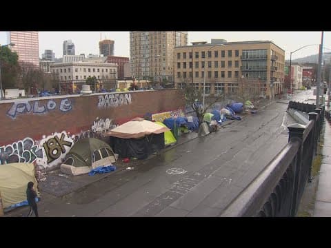 San Diego’s new homeless camping ban could possibly face legal hurdles