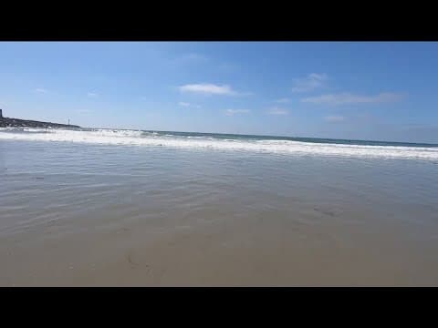 San Diego geology expert talks about the science behind a tsunami