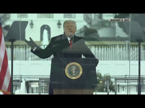 Dozen confirmation hearings underway to decide Trump's next cabinet