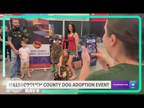 Hillsborough County hosts mass regional dog adoption event