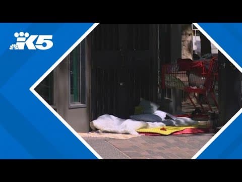 King County homelessness agencies activate emergency response plans amid heat wave