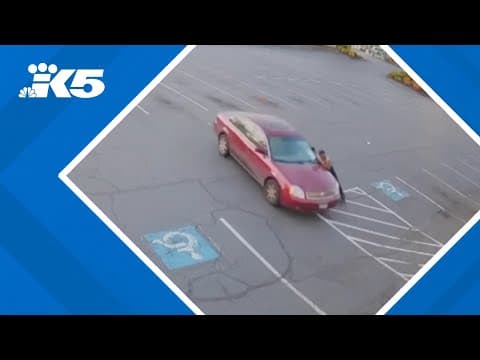 Surveillance video captures vehicle crash into restaurant