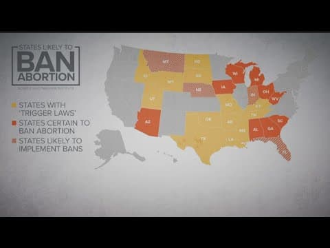 Constitutional lawyer breaks down impact of overturning Roe v. Wade