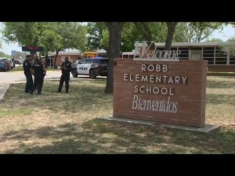 Safety expert describes what could be done to help prevent mass shootings