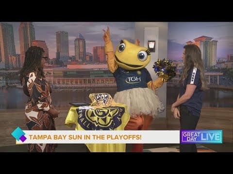 Tampa Bay Sun Playoffs