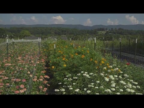 Where flowers grow with love: Meet Maryville's Rainbow Roots Floral