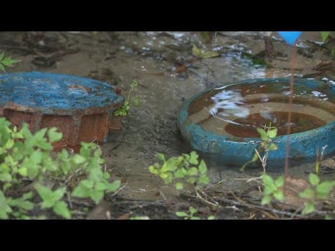 Woman turns to KHOU 11 after she says fire hydrant leaked for months, damaging her property