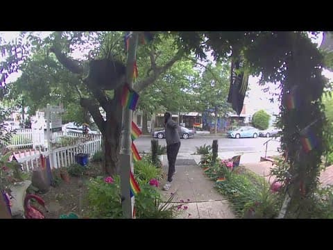 13-year-old charged for throwing rock at home decorated for WorldPride